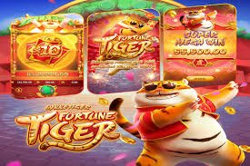 SBO555 Myanmar Online Casino Platform ကျွန်ုပ်တို့အကြောင်း